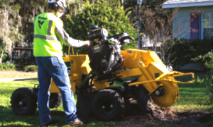 Motor de gasolina Vanguard de 35 hp